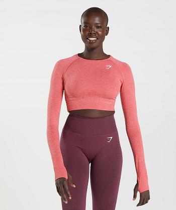 Corp Tops Gymshark Vital Seamless 2.0 Mujer Rojas | CO 2433RVD